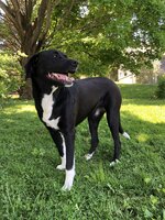 574F1470-C4BF-43F5-96AB-EFA9004967AD.jpeg