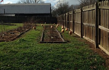 IMG_0459.jpg
