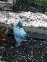 20190521_163853.jpg
