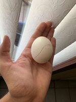 9B76676E-5278-41FF-9C07-BE641398B7D5.jpeg