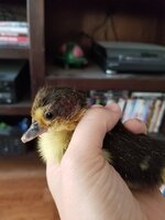 20190522_143442.jpg