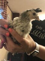 02361202-E4E3-412F-8C81-C71220A2496C.jpeg