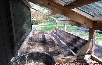 wire between dust bath site and brooder run.jpg