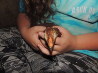 DSCN1042.JPG