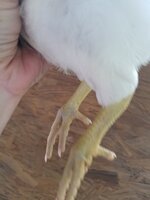 20190525_173839.jpg
