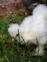 IMG_20190525_185831.jpg