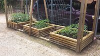 raised-bed-02.jpg raised-bed-02.jpg