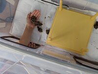 MVIMG_20190526_090151.jpg