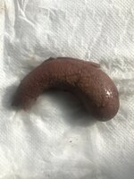 IMG_3510.jpeg