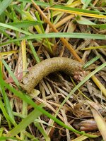 20190527_101829.jpg
