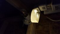 20190513_185950.jpg