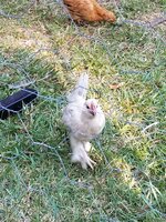 20190520_183439.jpg