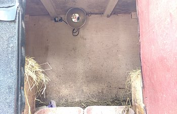IMG_20190527_174455.jpg