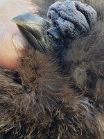 20190528_160724.jpg