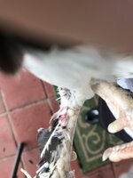 C7518479-B374-4397-A115-11713F798AD1.jpeg