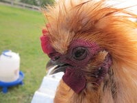 IMG_3264.JPG