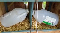20180807_190633.jpg