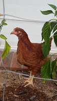 20190530_094031.jpg