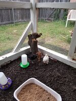 20190531_065333.jpg
