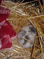 20190602_075429.jpg