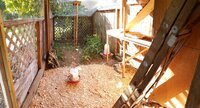 _IMG_000000_000000.jpg