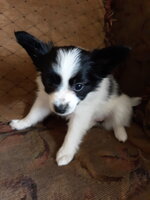 20190601_140552.jpg