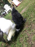 22F6CE89-675D-405E-A41A-2B1C1CDE3574.jpeg