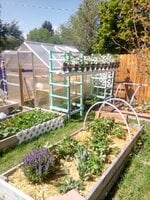 IMG_20190603_103137.jpg