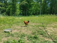 20190603_134547.jpg