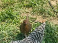 20190603_143658.jpg