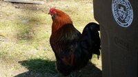20190603_152032.jpg