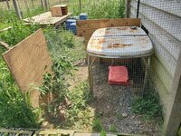 20190603_124319.jpg