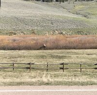 5B762938-F2CB-4EFD-A851-F93534F81ECC.jpeg 5B762938-F2CB-4EFD-A851-F93534F81ECC.jpeg