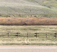 A38F12C6-FD98-4831-B030-2DA3CA59F235.jpeg A38F12C6-FD98-4831-B030-2DA3CA59F235.jpeg