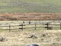 65435F34-4306-492B-8A57-EC2D637A5AB4.jpeg 65435F34-4306-492B-8A57-EC2D637A5AB4.jpeg