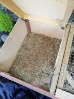 IMG_20190603_083923.jpg