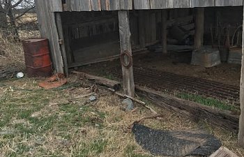 South of original shed.jpg