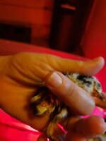 20190607_081131.jpg