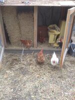 straw shed.jpg