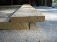 Woods KD Coop - Back Wall 003.JPG