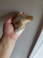 20190608_192241.jpg