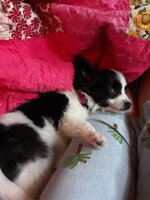 20190608_133054.jpg