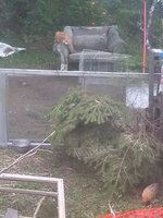 IMG_20190530_194145401.jpg