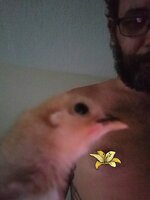 20190609_080835.jpg
