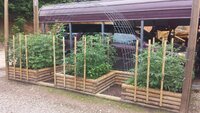 raised-bed-03.jpg