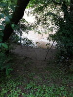 20190609_135834.jpg
