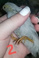 20190609_161243.jpg
