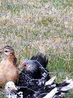 20190522_184147.jpg 20190522_184147.jpg