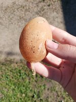 20190610_085849.jpg