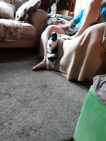 20190610_085010.jpg